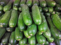 Cucumber