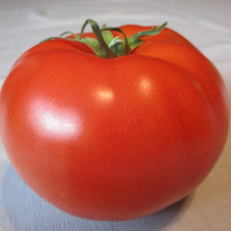 Tomato0