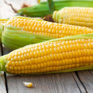 Sweet Corn