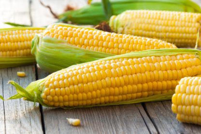 Sweet Corn