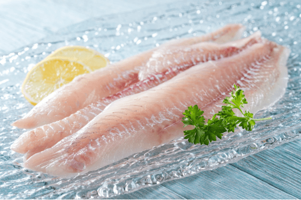 Haddock Fillets