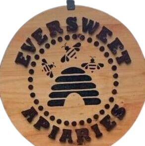 327439143_904128750615672_7213134742728499401_n-e1772733197547-removebg-preview