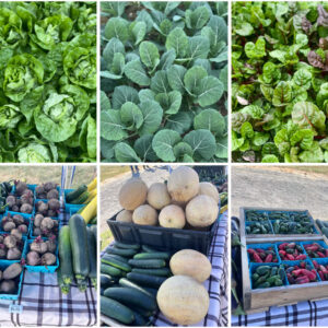 Cooper Farm CSA - Full Year