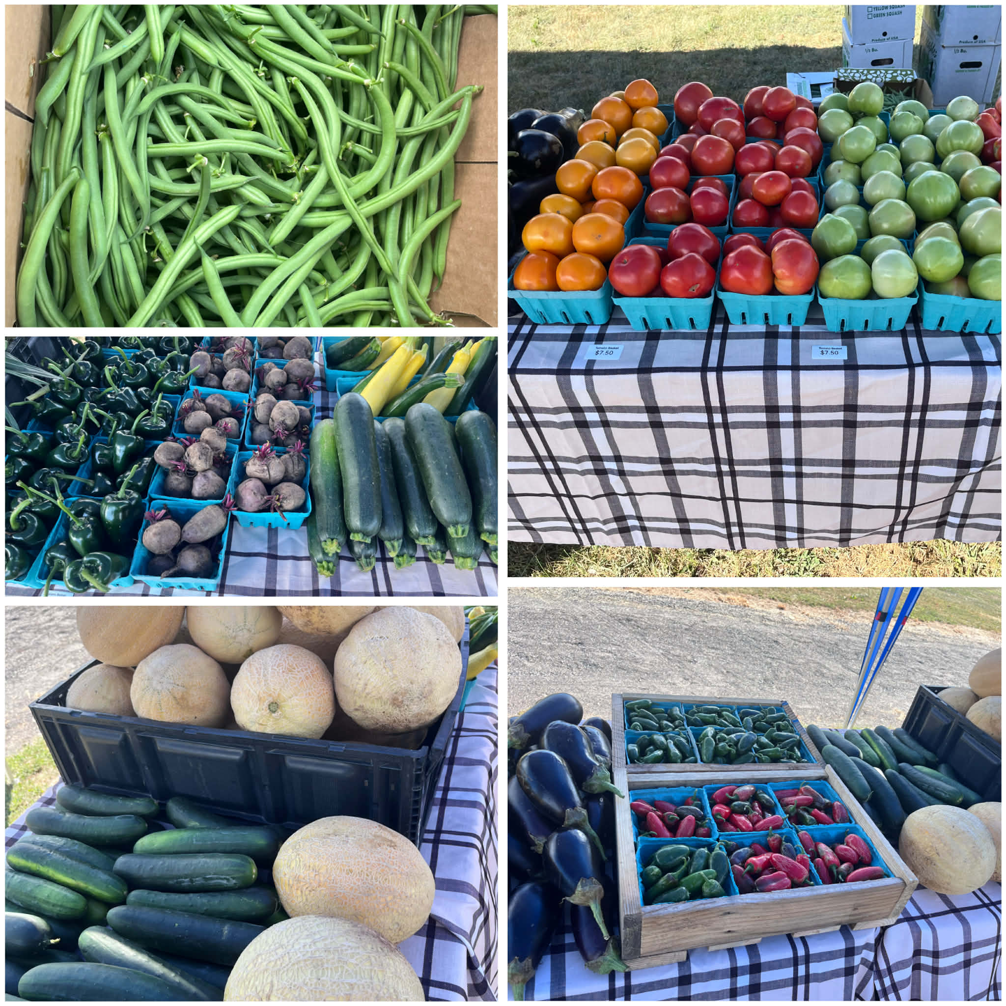 Cooper Farm CSA - Summer