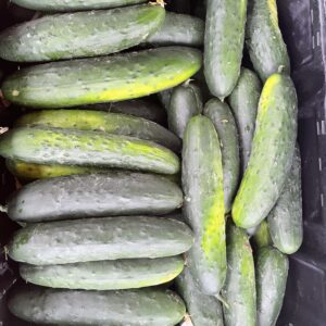 Cooper's Cucumbers