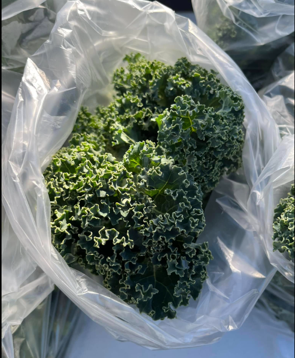 Cooper's Kale - Image 2