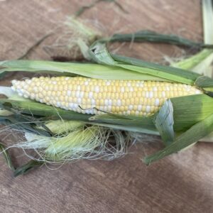 Cooper's Sweet Corn