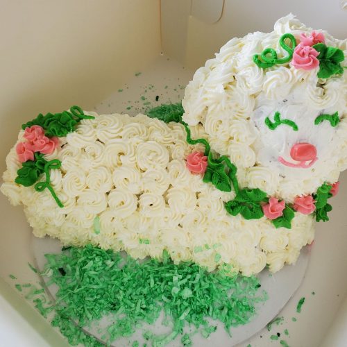 20240330 145637small