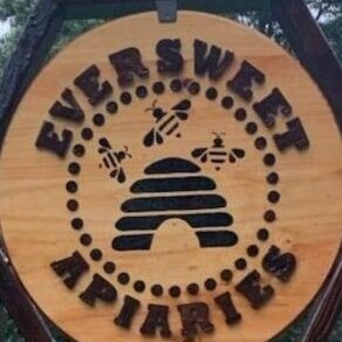 327439143_904128750615672_7213134742728499401_n