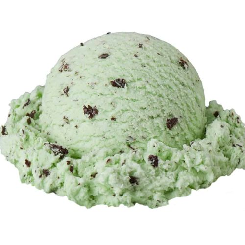 Premiummintchocolatechip