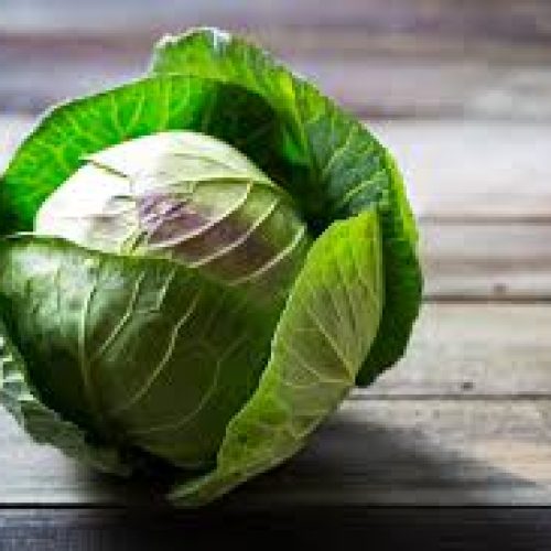 cabbage