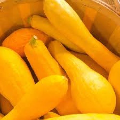 squash