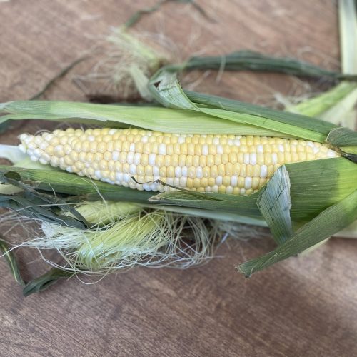sweet corn